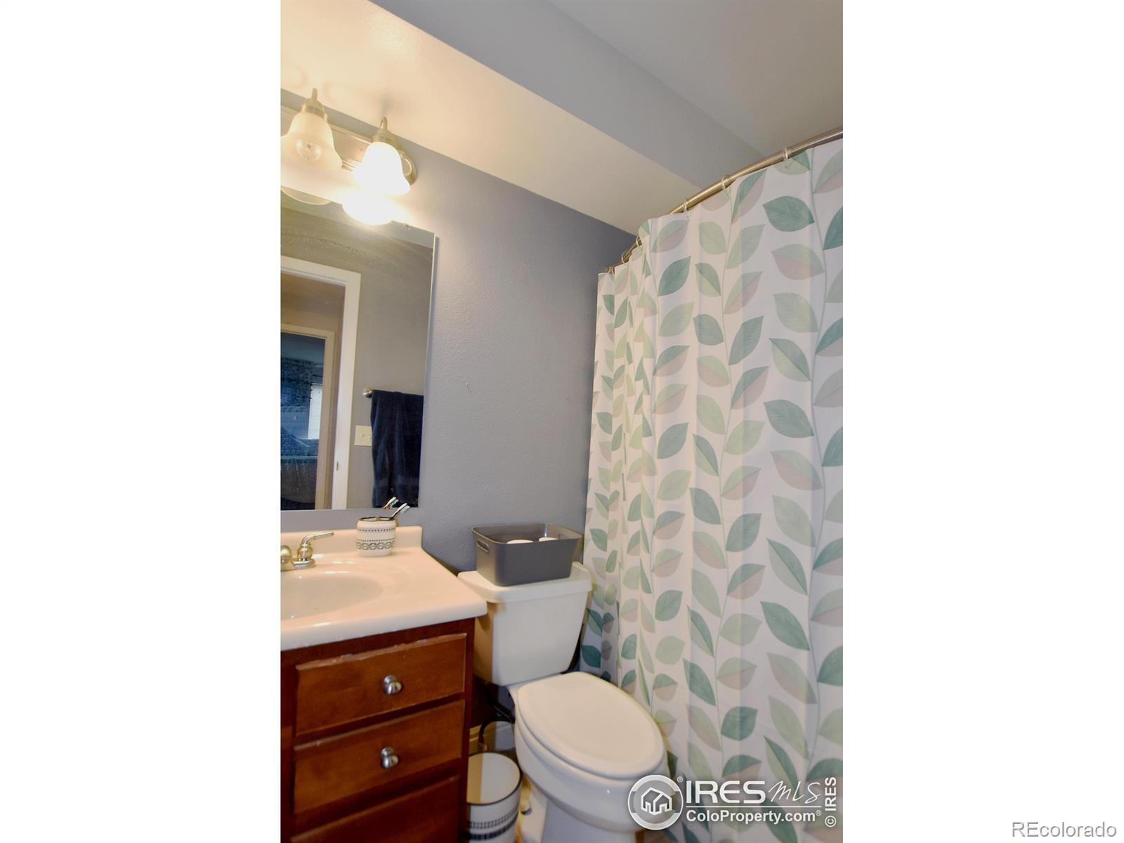 MLS Image #16 for 720  city park avenue,fort collins, Colorado