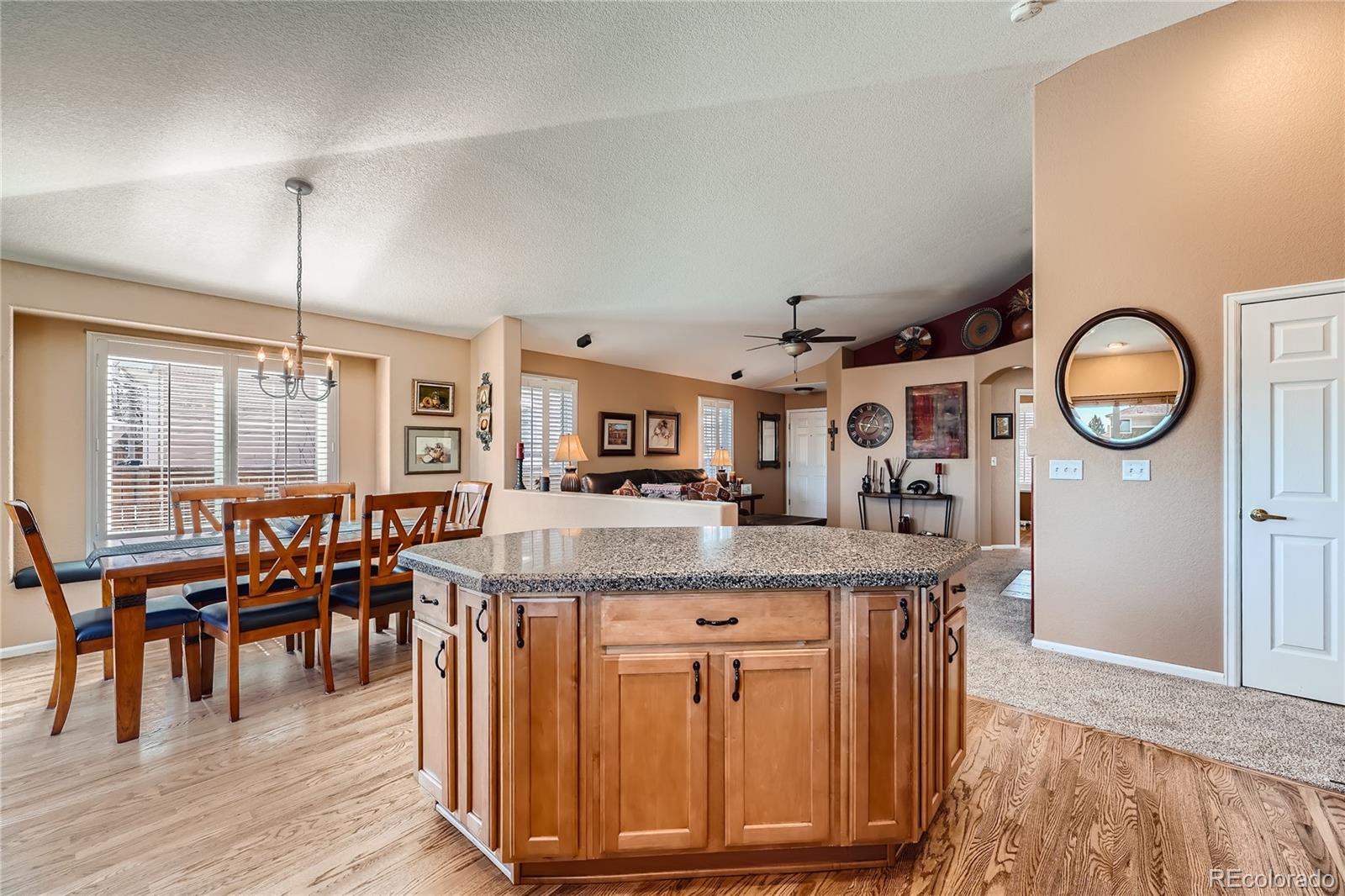 MLS Image #8 for 11832  trail sky court,parker, Colorado