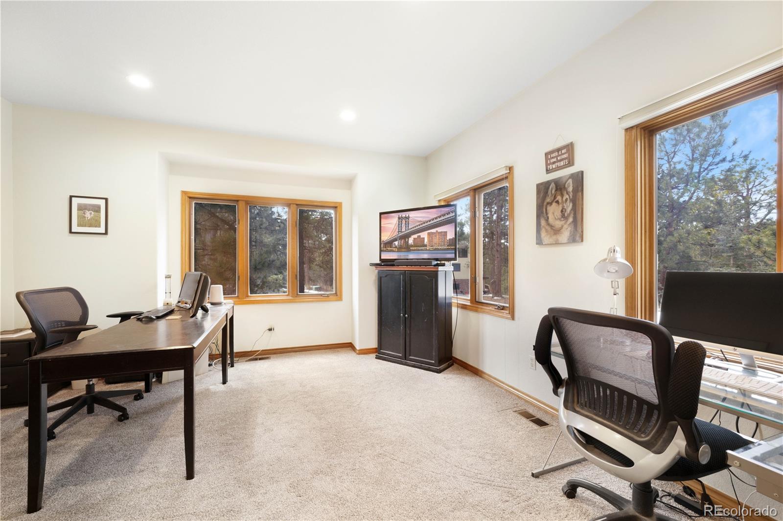 MLS Image #12 for 27531  stapleton drive,golden, Colorado