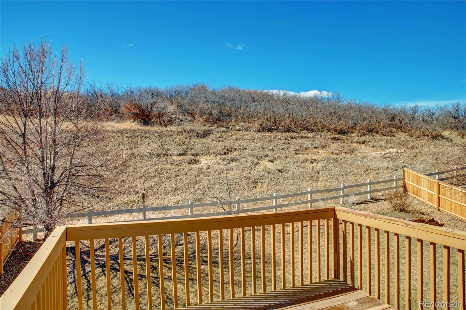MLS Image #19 for 1208  berganot trail,castle pines, Colorado