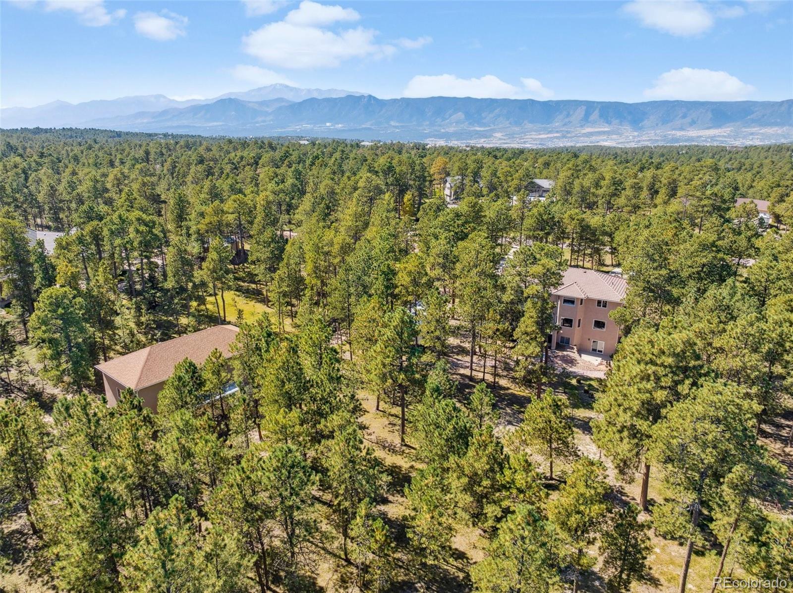 MLS Image #48 for 1325  embassy court,monument, Colorado