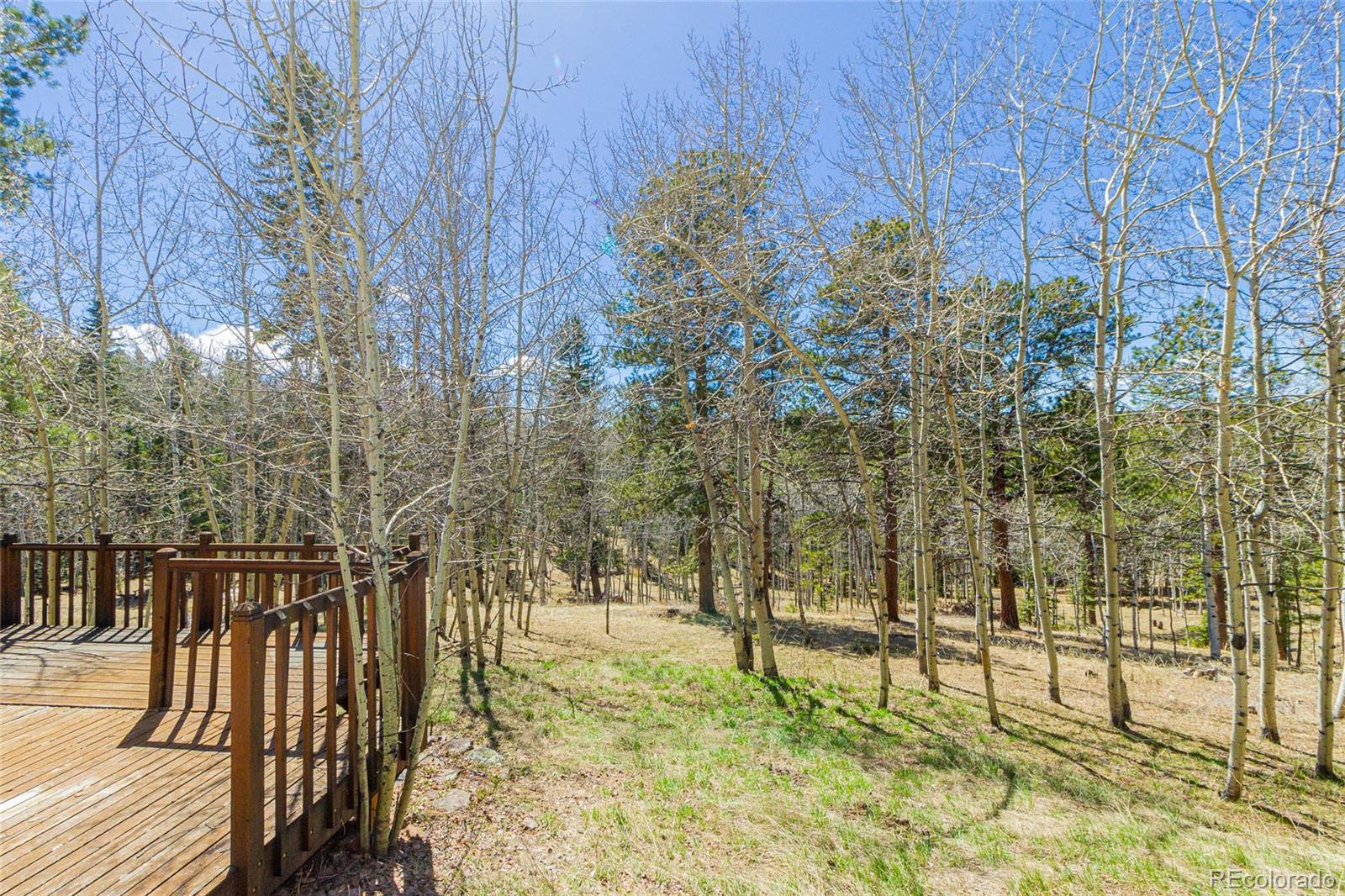 MLS Image #40 for 225  pennsylvania avenue,woodland park, Colorado