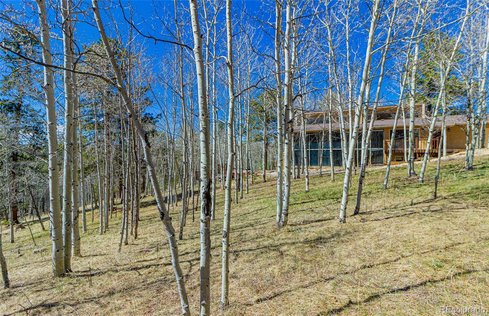 MLS Image #5 for 225  pennsylvania avenue,woodland park, Colorado