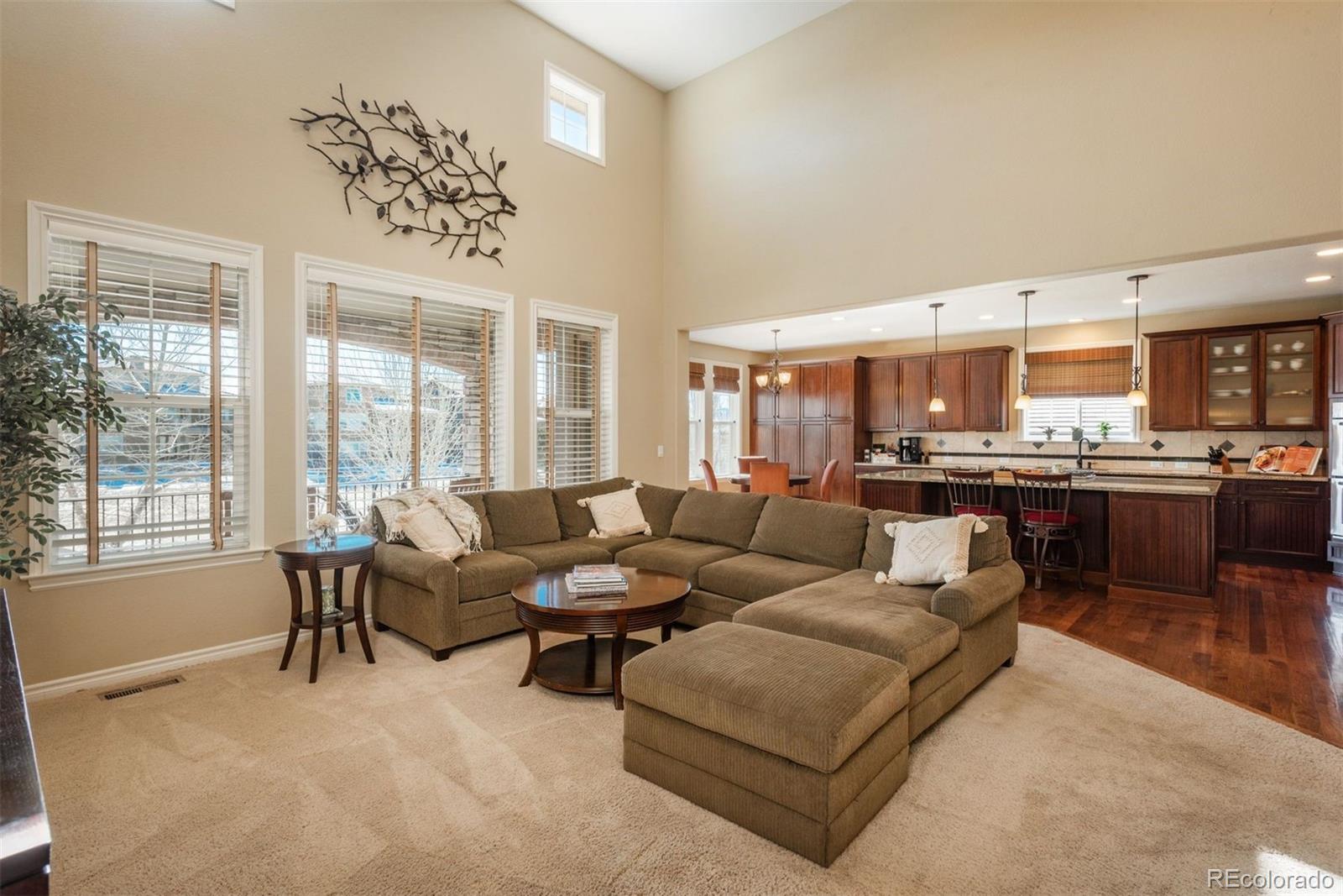 MLS Image #11 for 324  maplehurst drive,highlands ranch, Colorado