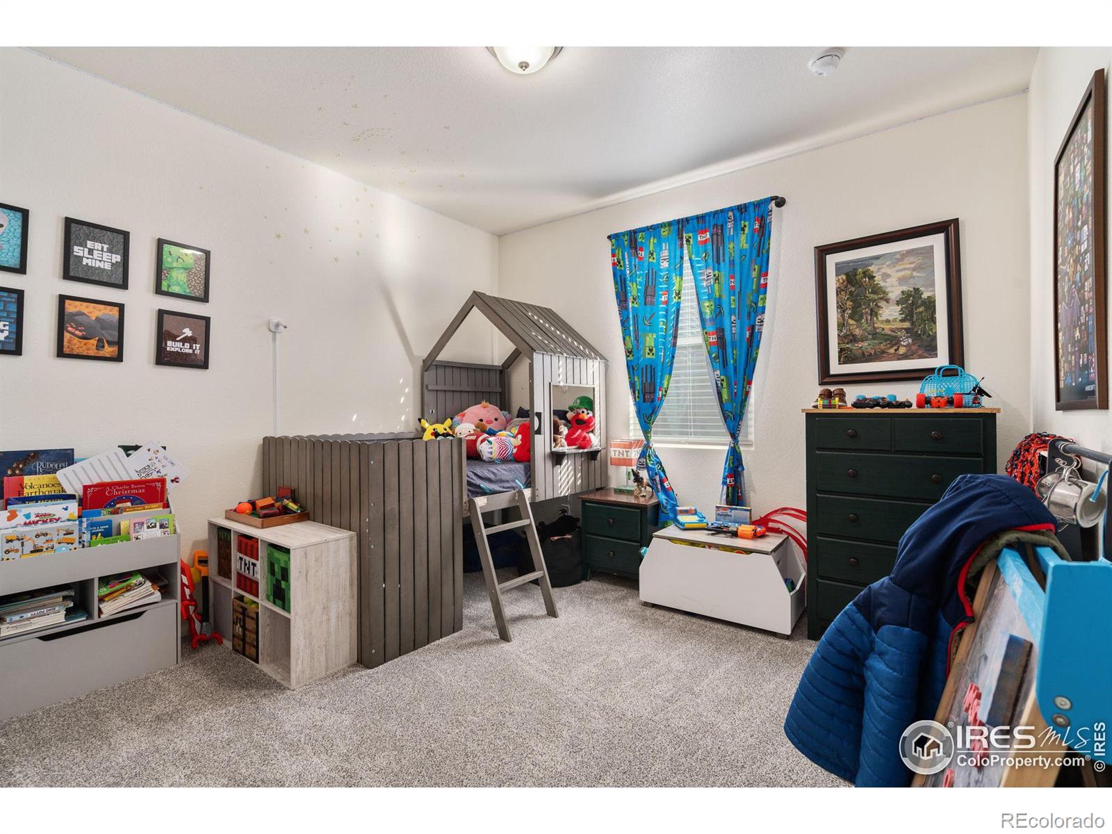 MLS Image #18 for 909  camberly drive,windsor, Colorado