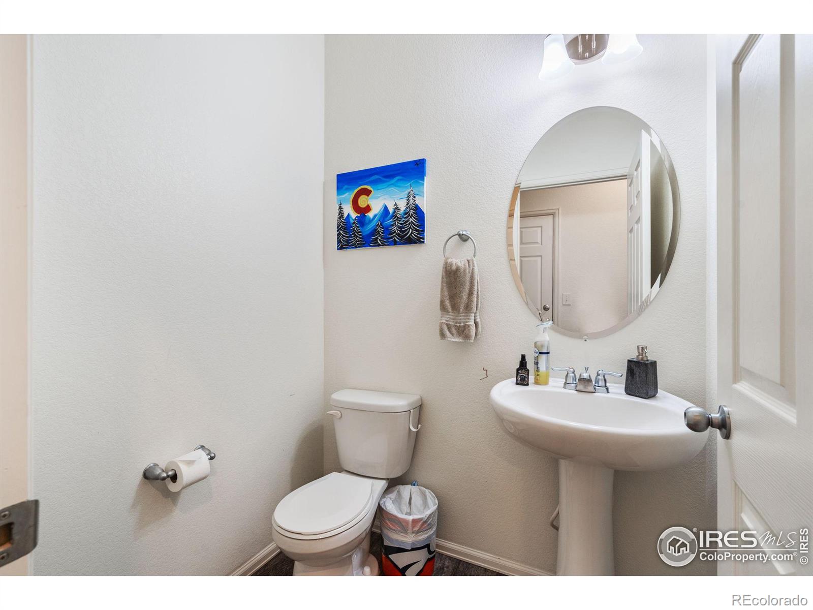 MLS Image #19 for 909  camberly drive,windsor, Colorado