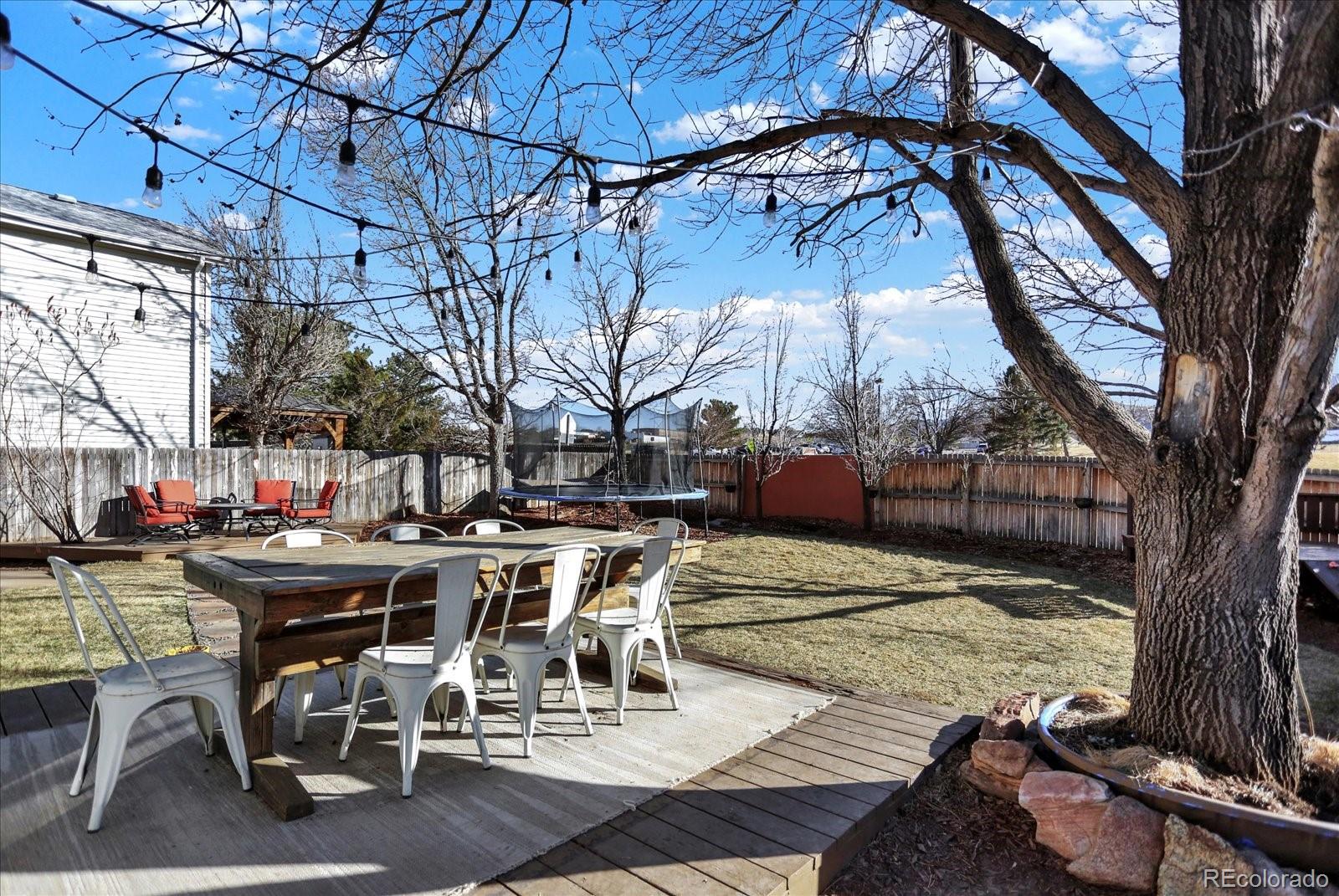 MLS Image #25 for 10094  telluride street,littleton, Colorado