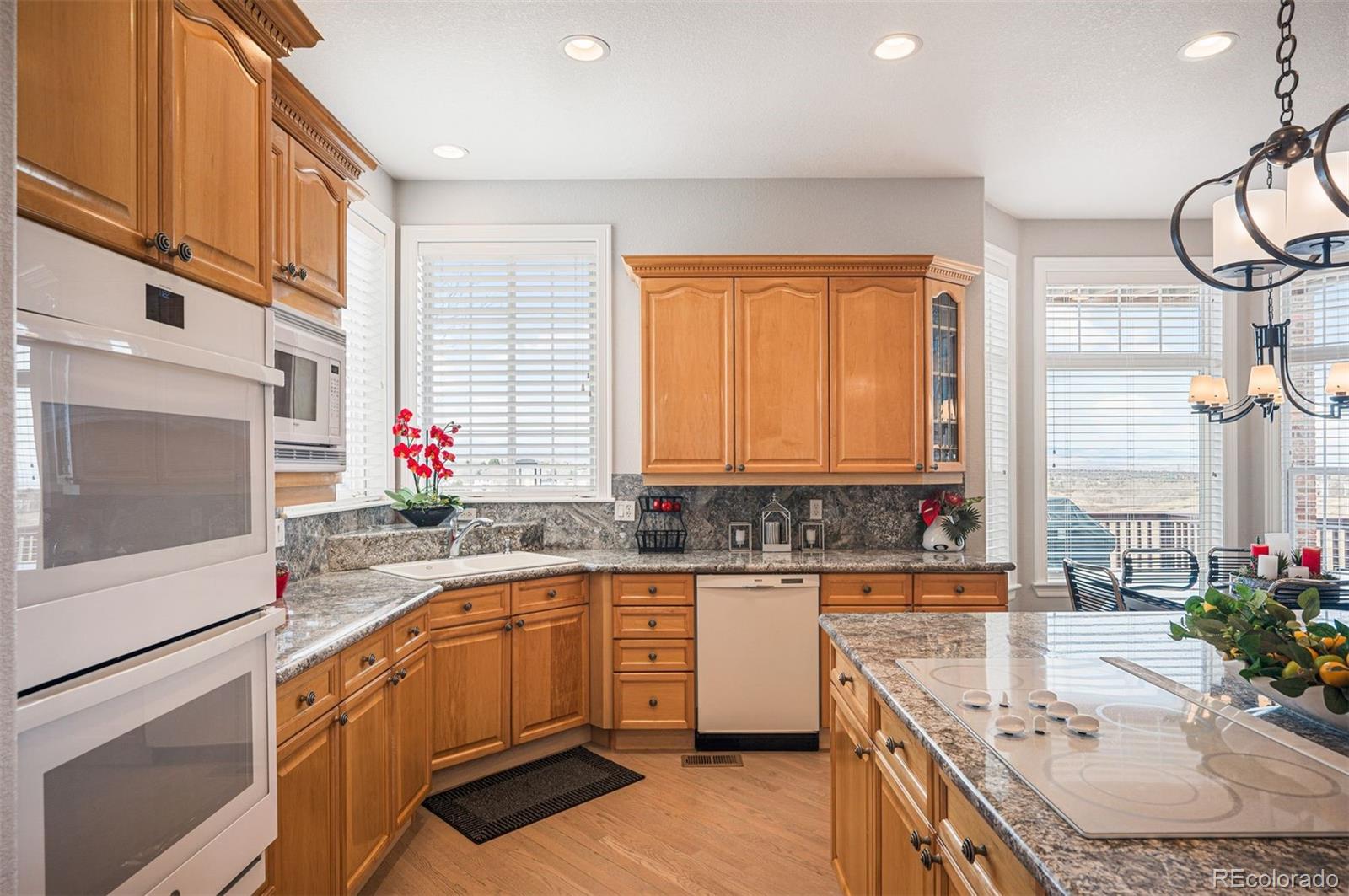 MLS Image #12 for 10453  dunsford drive,lone tree, Colorado