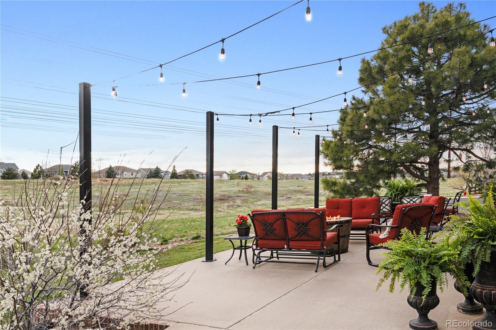 MLS Image #40 for 564  rita place,castle pines, Colorado