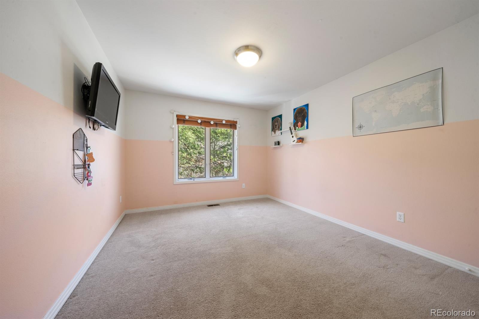 MLS Image #16 for 220  preservation way,colorado springs, Colorado