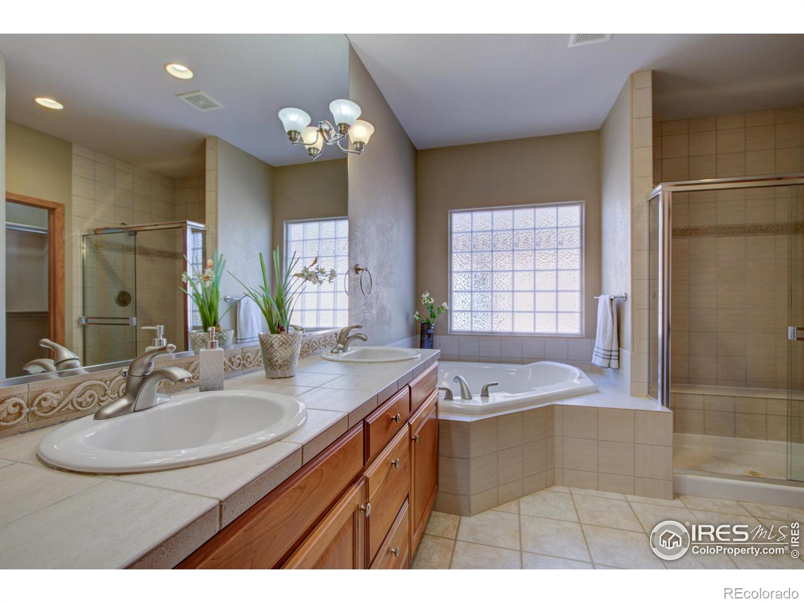 MLS Image #26 for 1008  boxelder circle,longmont, Colorado