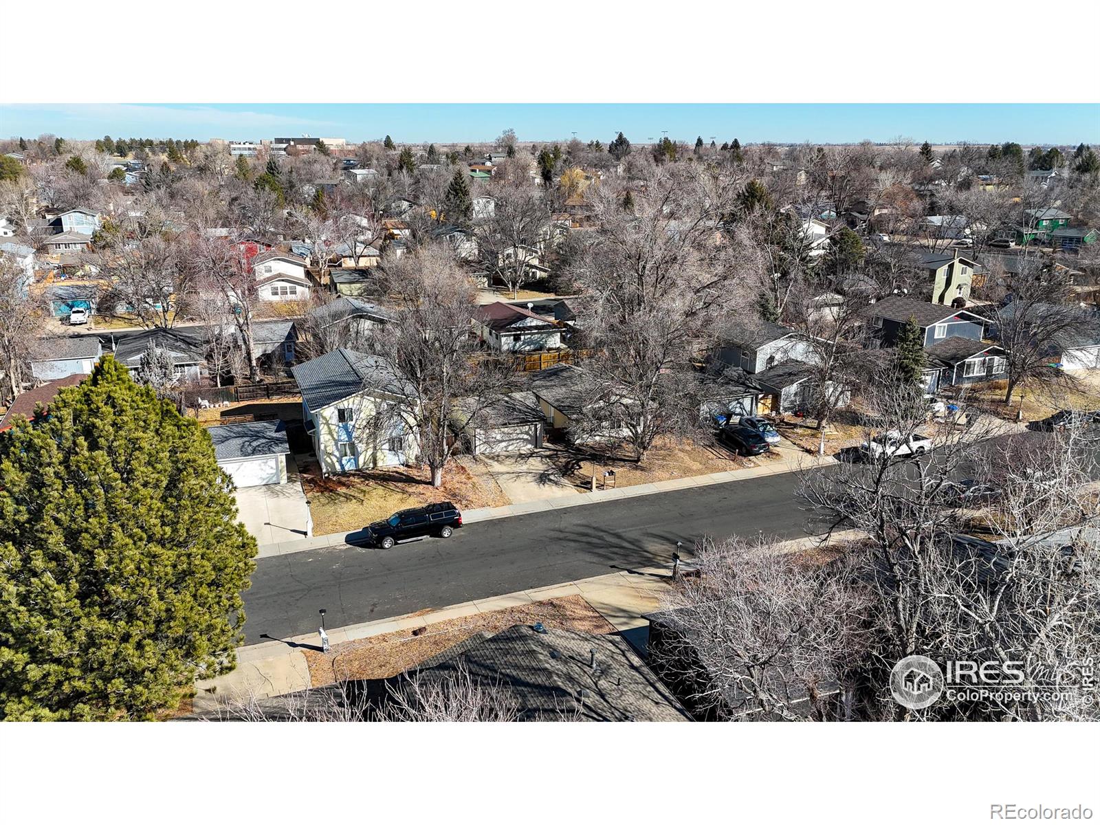 MLS Image #20 for 426  thistle place,longmont, Colorado