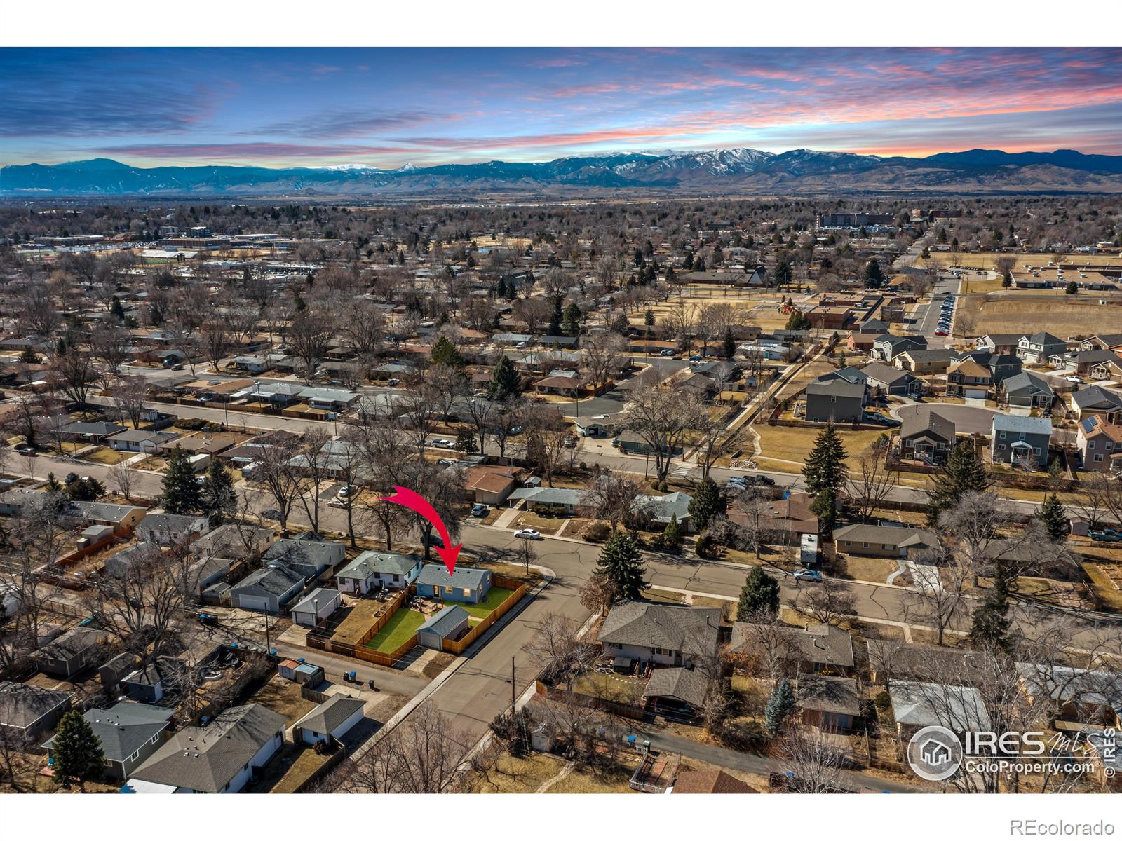 MLS Image #6 for 1346  venice street,longmont, Colorado