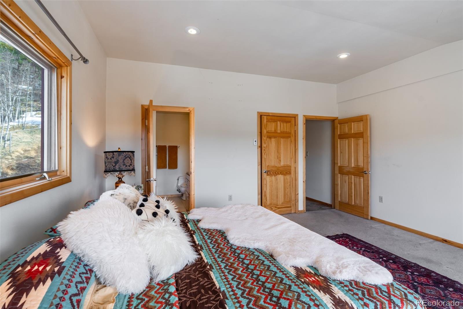 MLS Image #24 for 57  angel wings ,guffey, Colorado