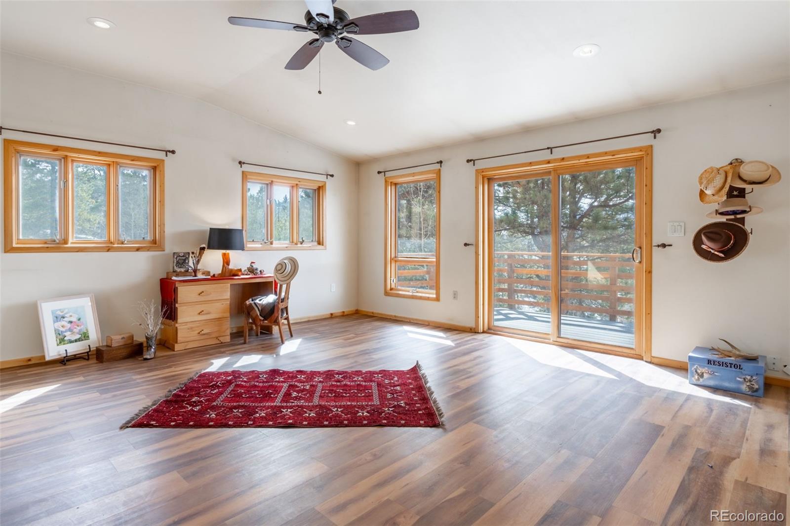 MLS Image #27 for 57  angel wings ,guffey, Colorado