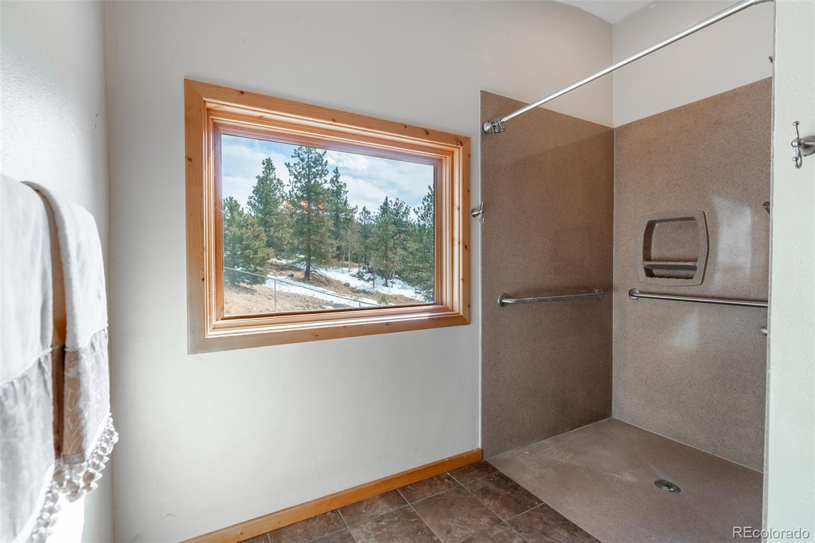 MLS Image #29 for 57  angel wings ,guffey, Colorado