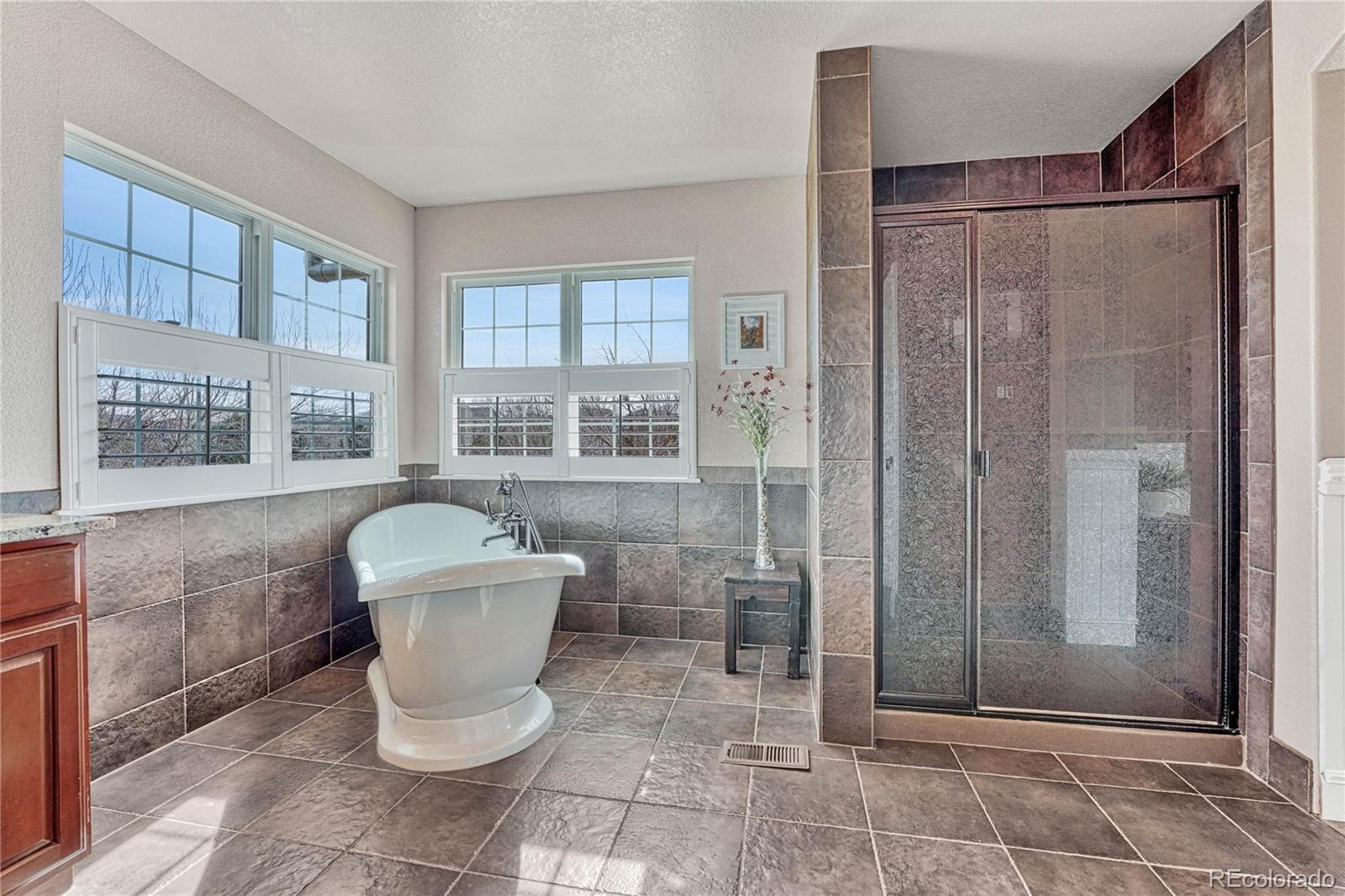 MLS Image #18 for 16510  stonefeld place,parker, Colorado
