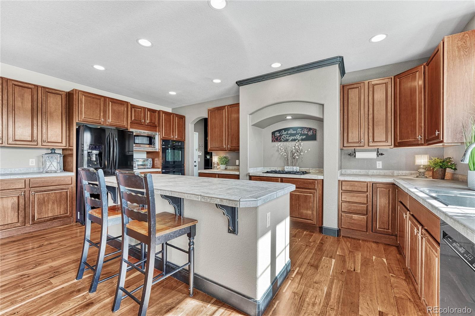 MLS Image #8 for 16510  stonefeld place,parker, Colorado