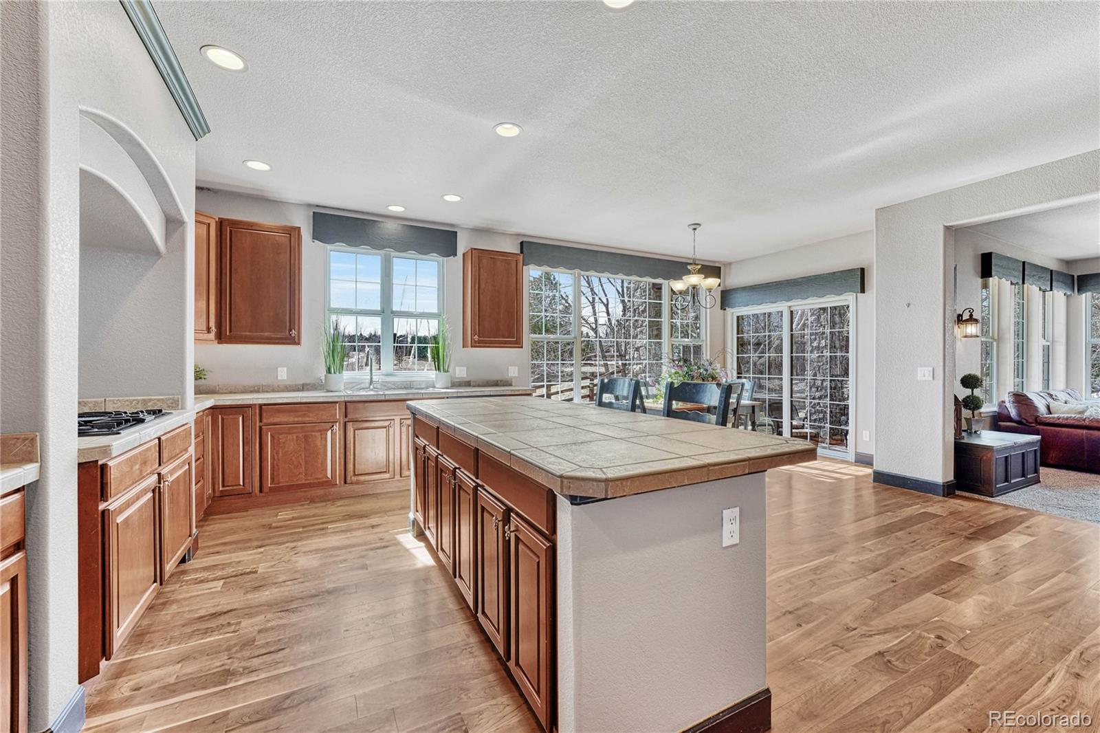 MLS Image #9 for 16510  stonefeld place,parker, Colorado