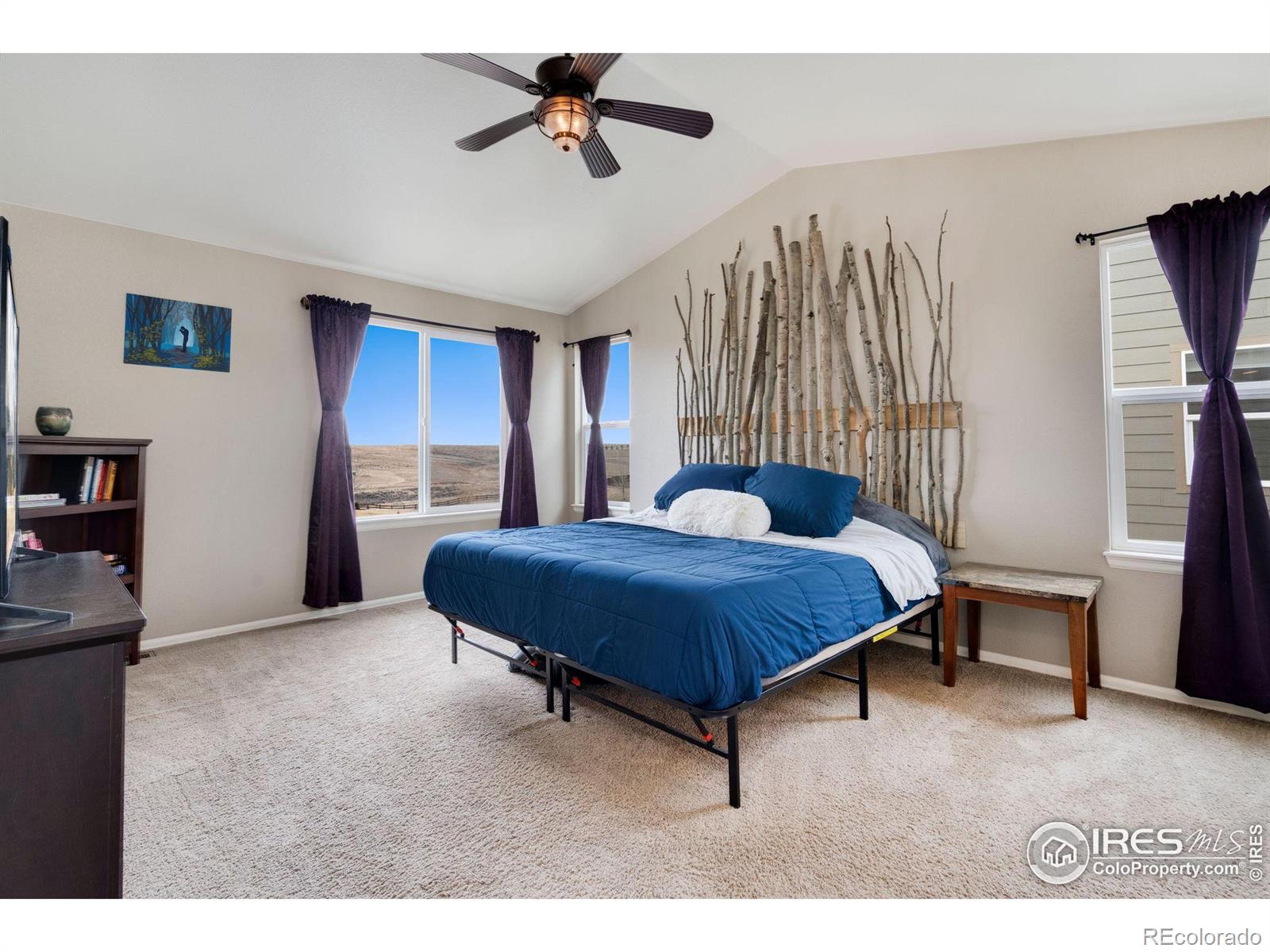 MLS Image #18 for 2139  longfin drive,windsor, Colorado