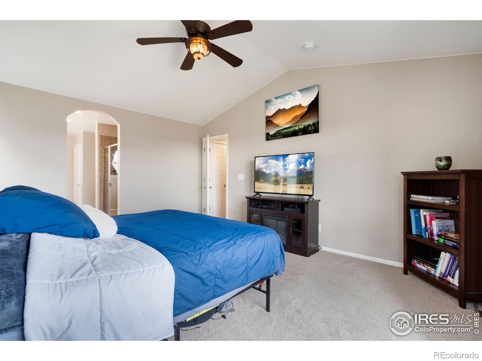 MLS Image #19 for 2139  longfin drive,windsor, Colorado