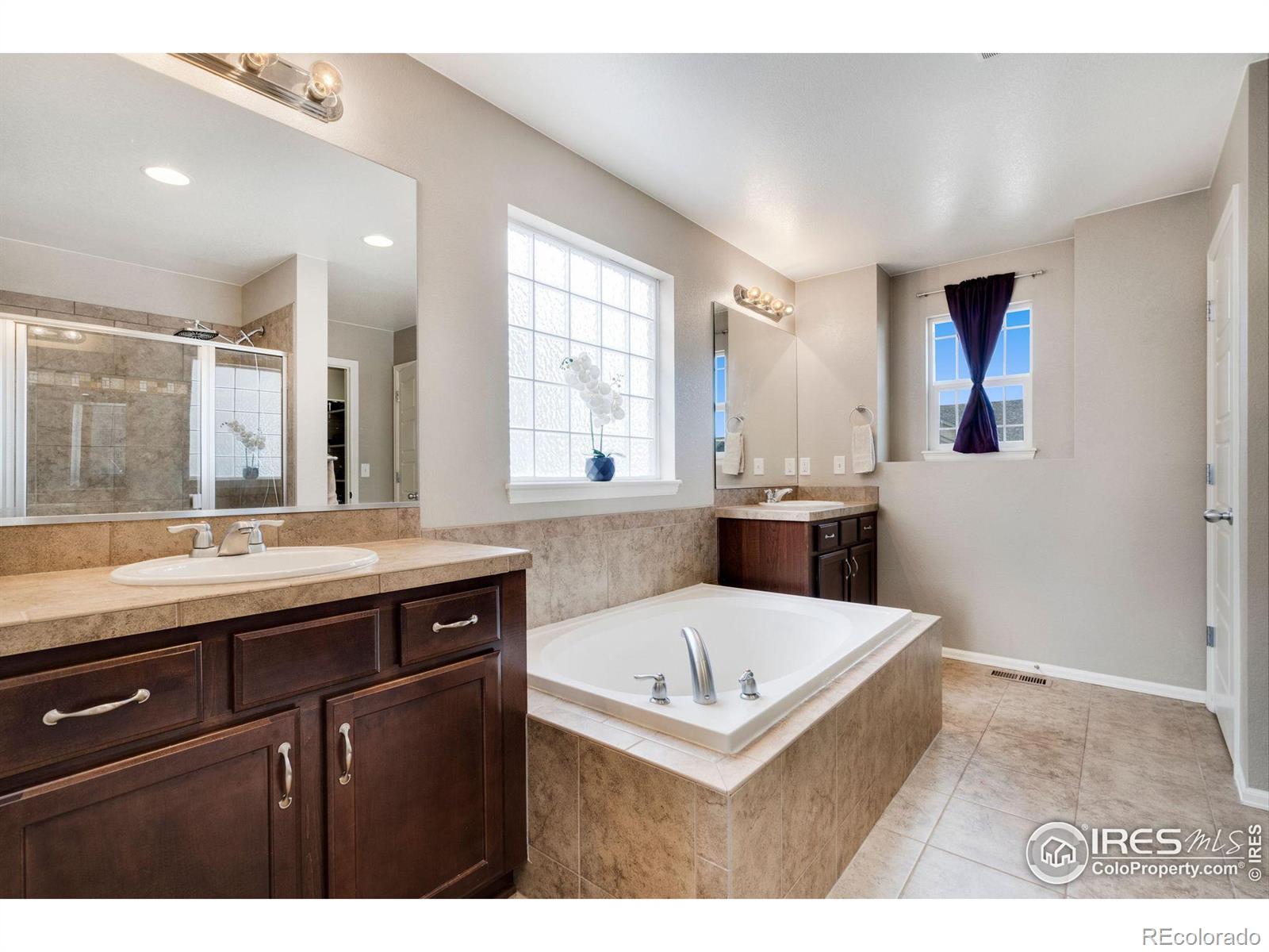 MLS Image #20 for 2139  longfin drive,windsor, Colorado