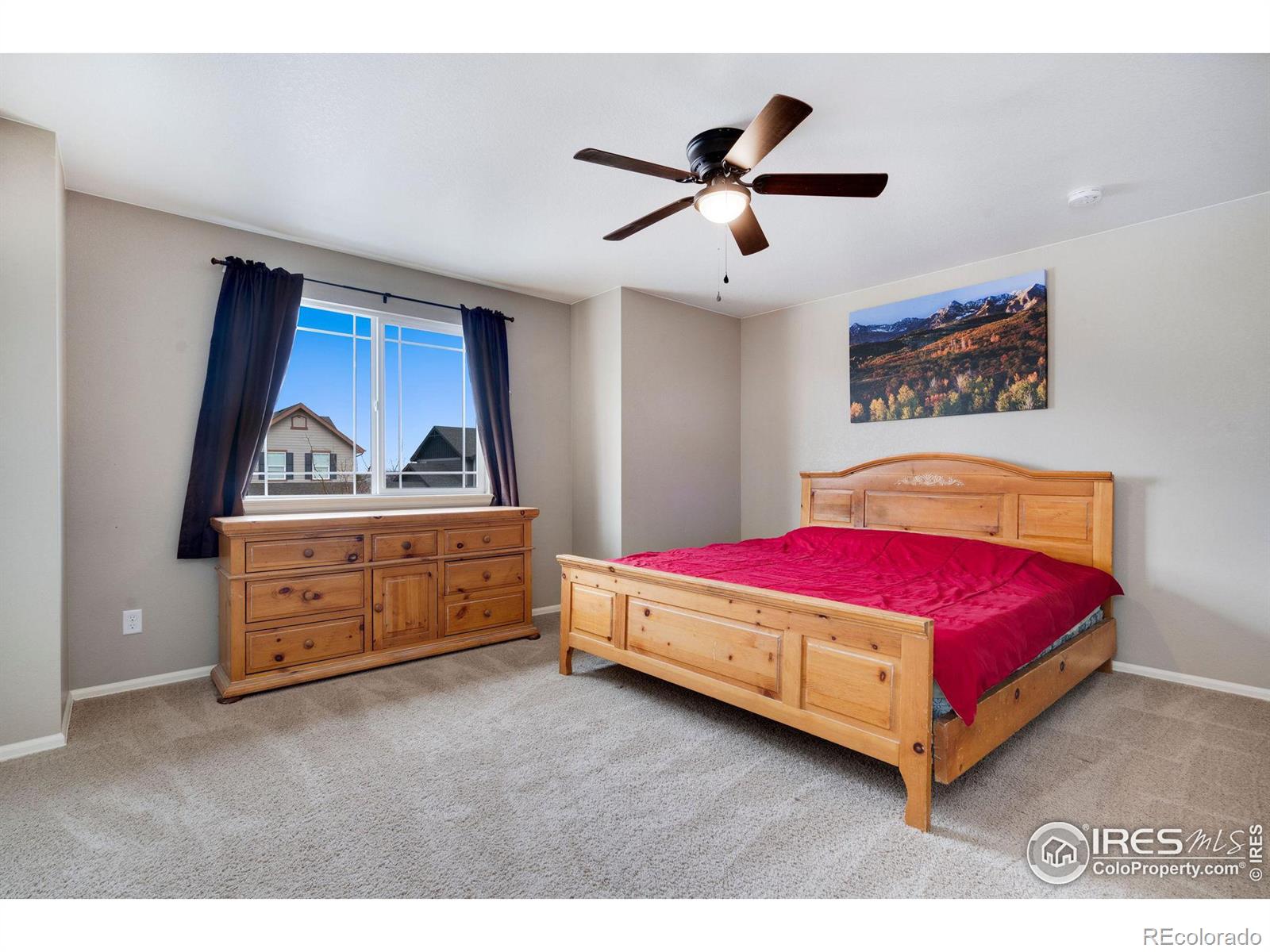 MLS Image #22 for 2139  longfin drive,windsor, Colorado