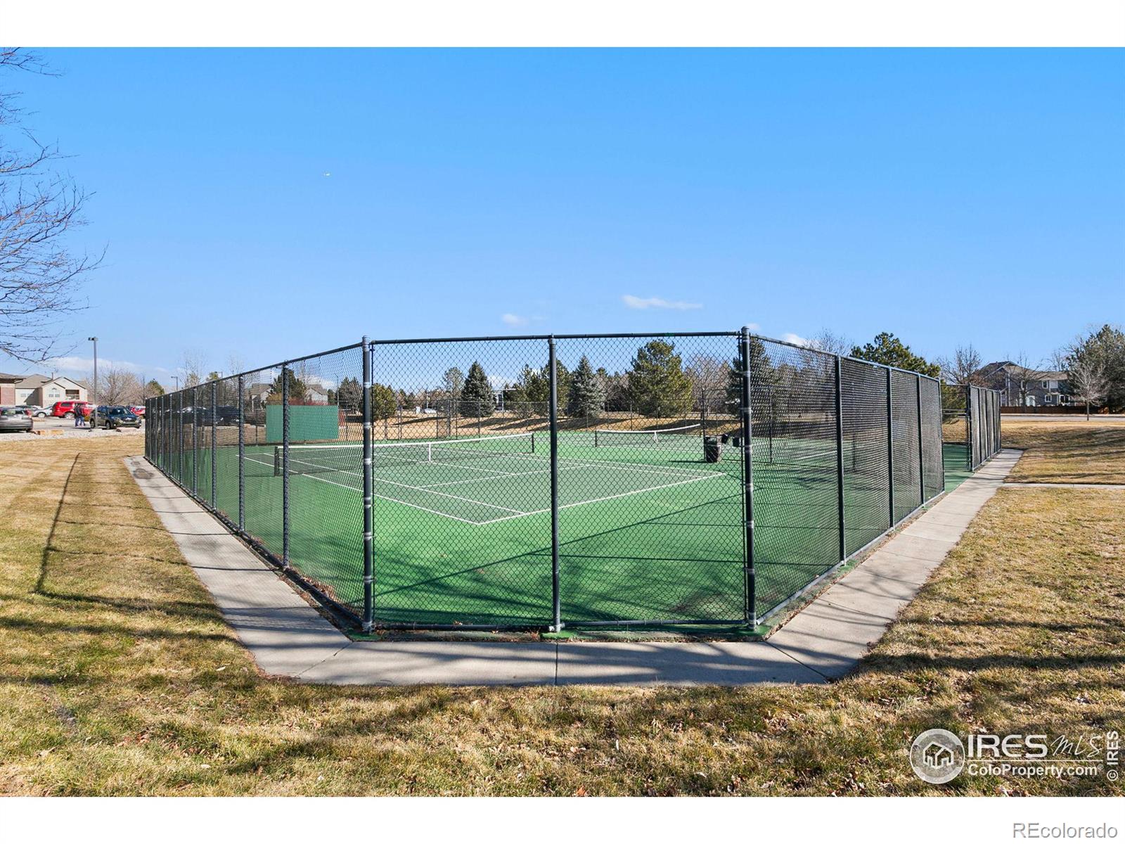 MLS Image #15 for 5225  white willow drive,fort collins, Colorado
