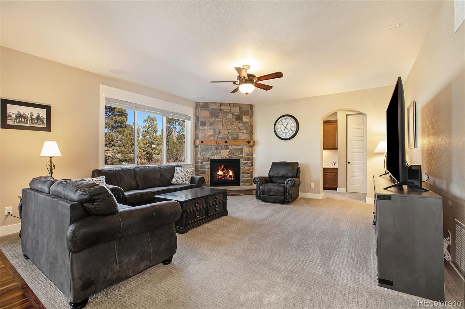 MLS Image #12 for 20289  spruce point place,parker, Colorado