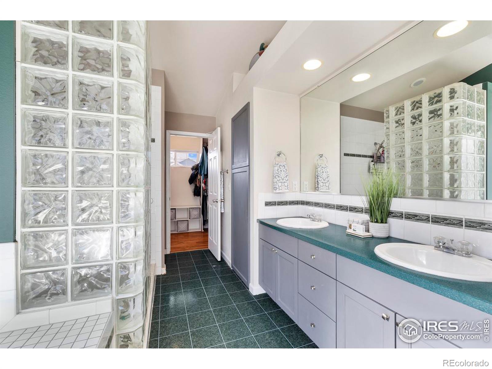 MLS Image #21 for 1037  medicine man court,windsor, Colorado