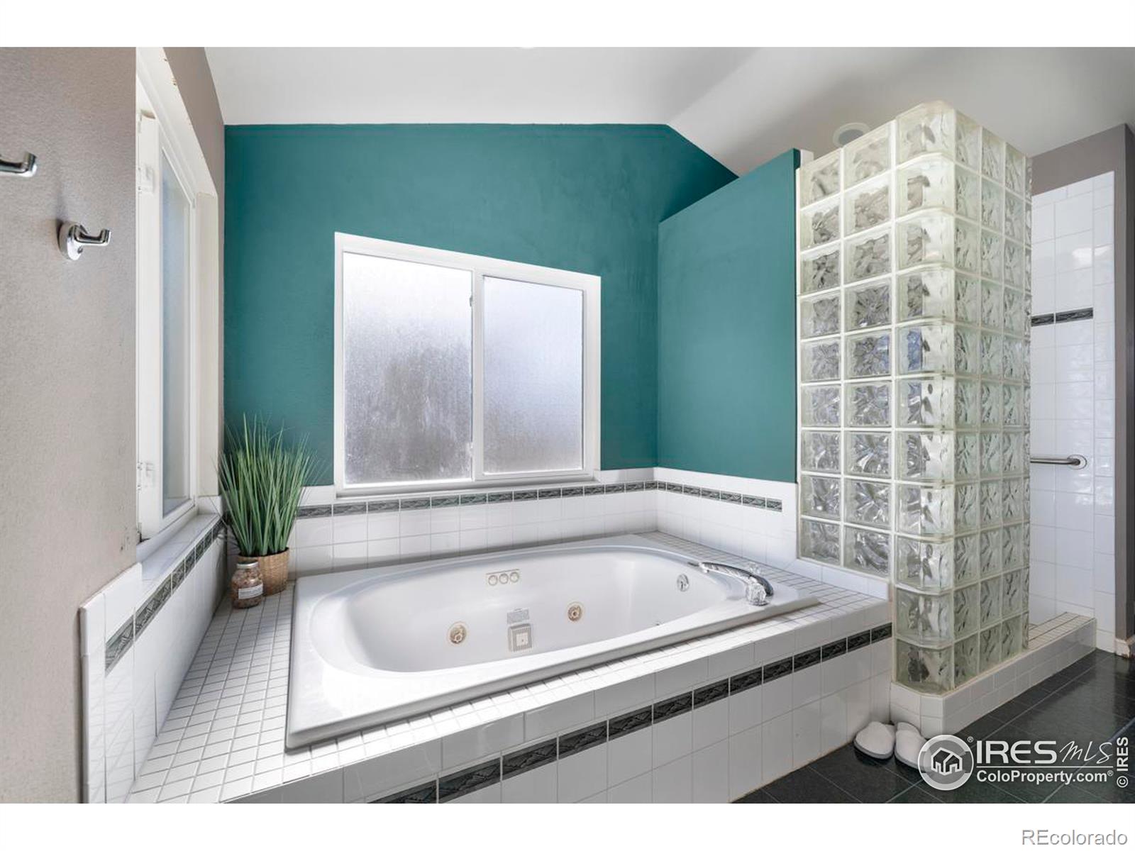 MLS Image #22 for 1037  medicine man court,windsor, Colorado