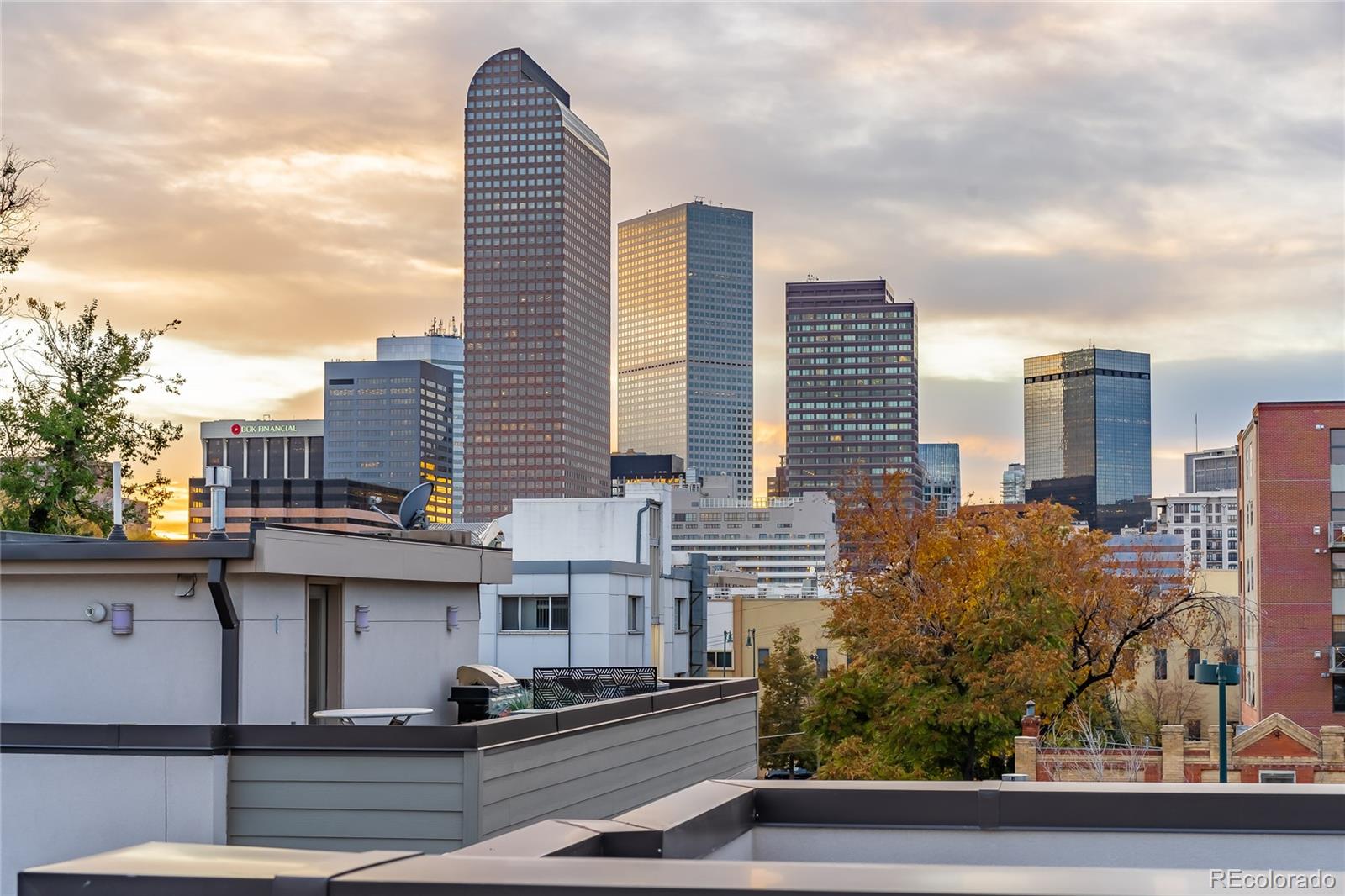 MLS Image #24 for 1818  clarkson street,denver, Colorado