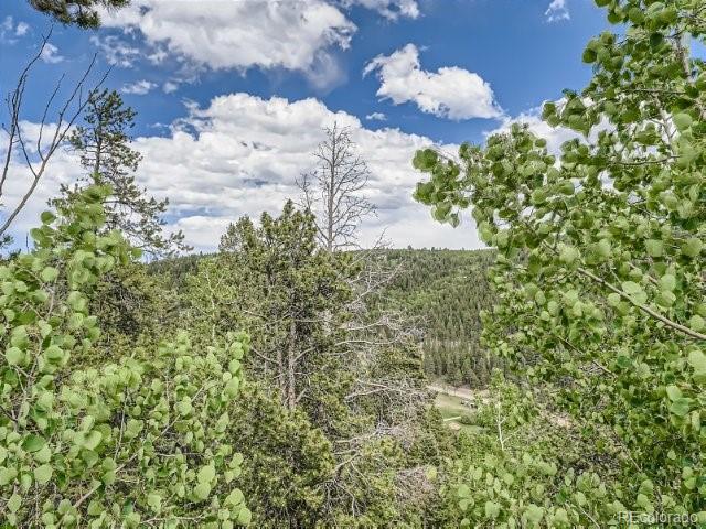 MLS Image #35 for 152  wolf road,black hawk, Colorado