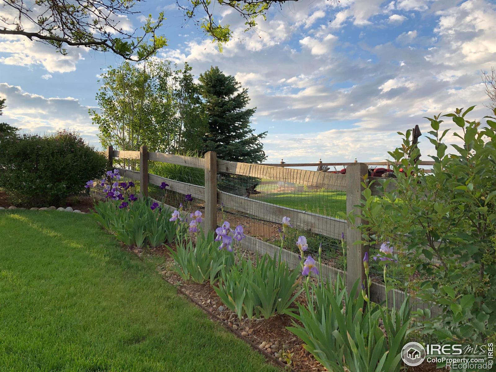 MLS Image #34 for 2383  dogwood circle,erie, Colorado