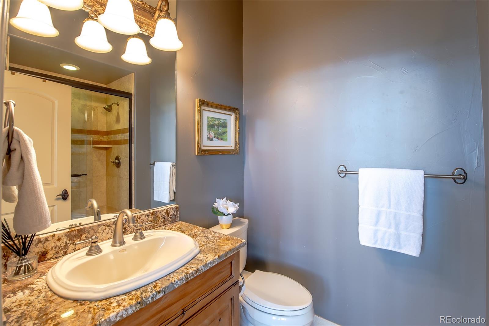 MLS Image #23 for 10142  crooked stick trail,lone tree, Colorado