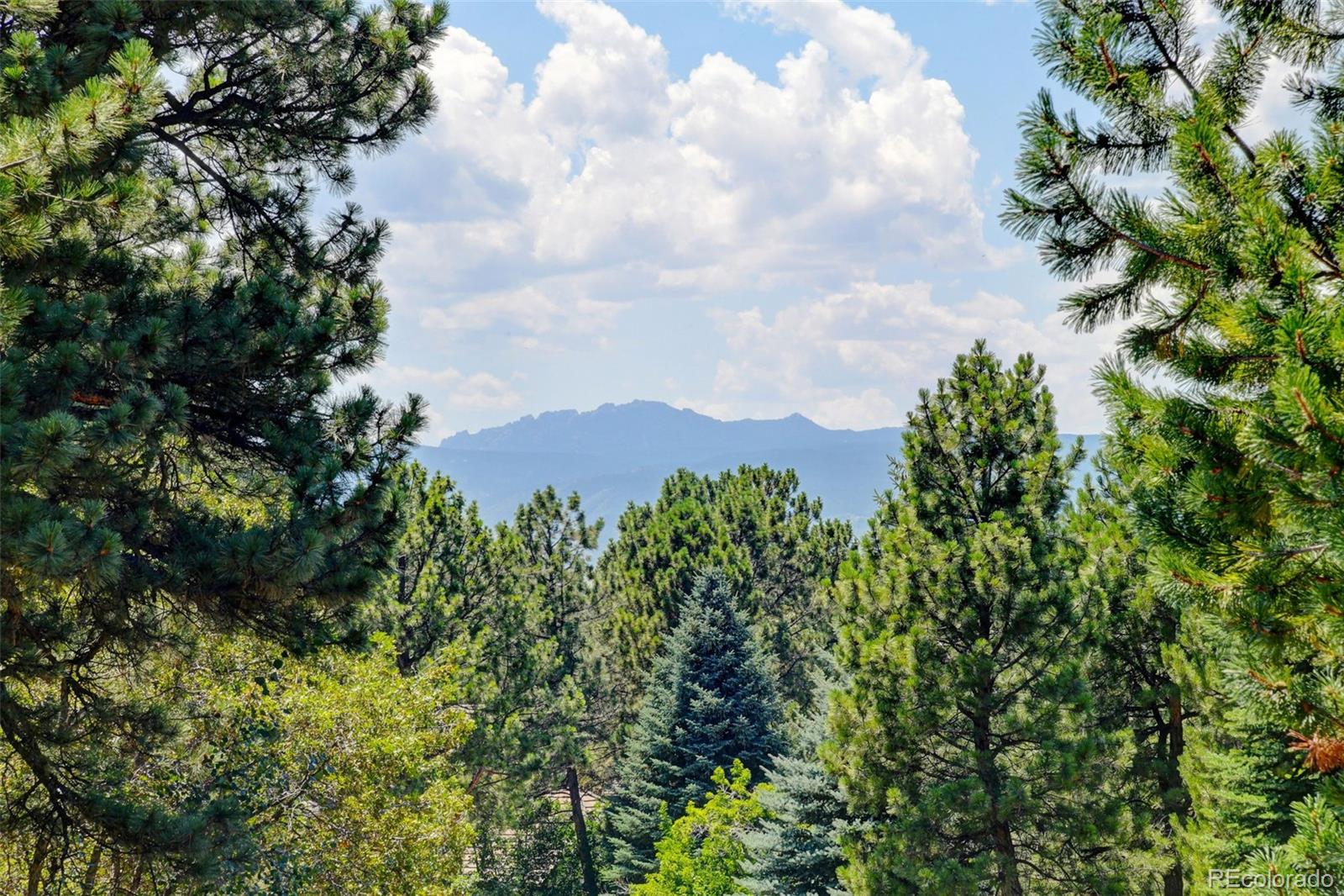 MLS Image #3 for 883  good hope drive,castle rock, Colorado