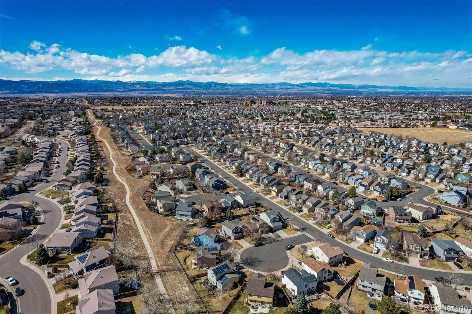 MLS Image #4 for 10049  tarcoola place,highlands ranch, Colorado