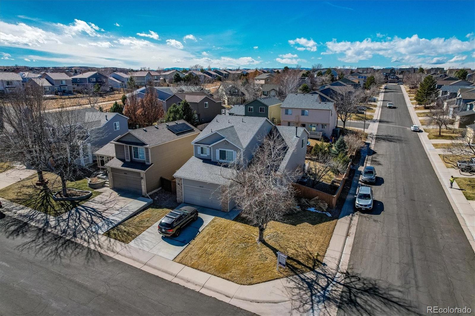 MLS Image #6 for 10049  tarcoola place,highlands ranch, Colorado
