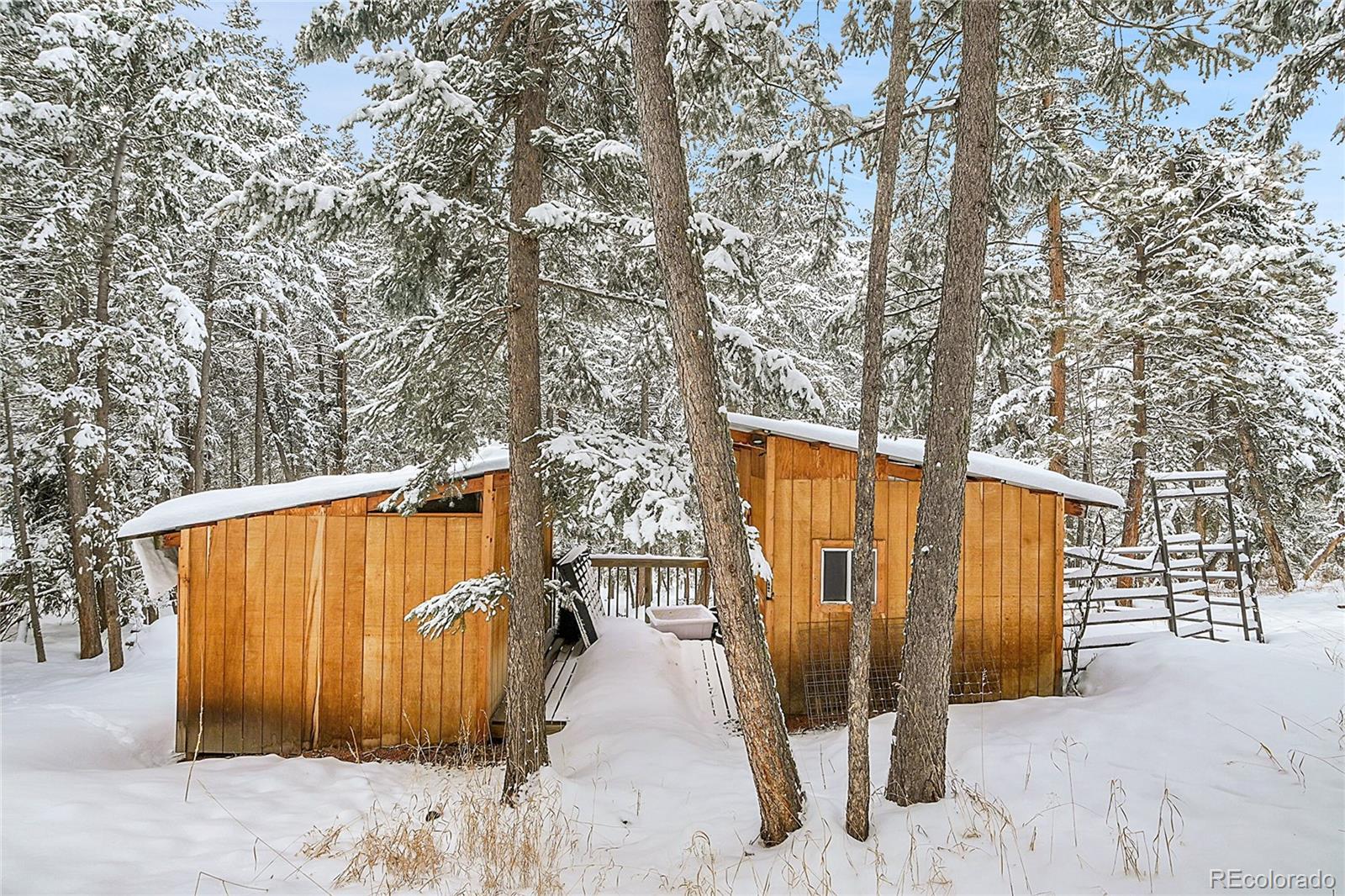 MLS Image #26 for 9129  william cody drive,evergreen, Colorado