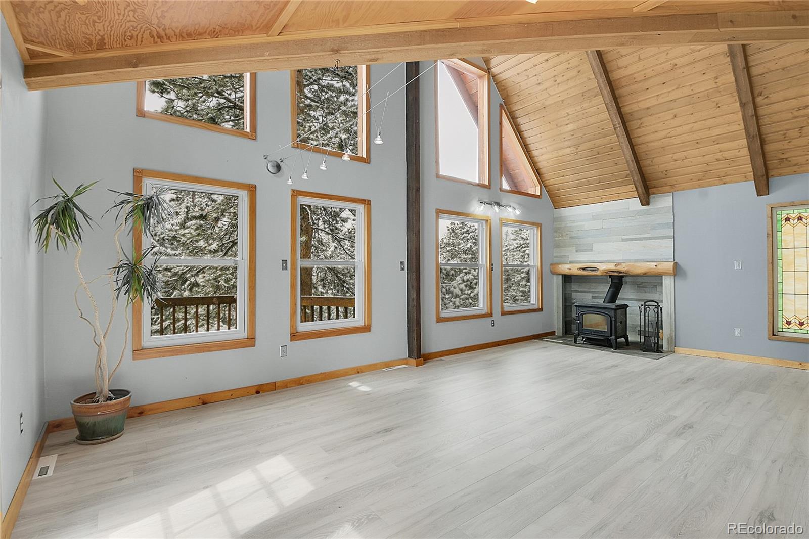 MLS Image #8 for 9129  william cody drive,evergreen, Colorado