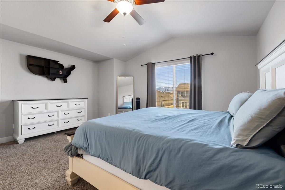 MLS Image #21 for 3162  namib drive,colorado springs, Colorado