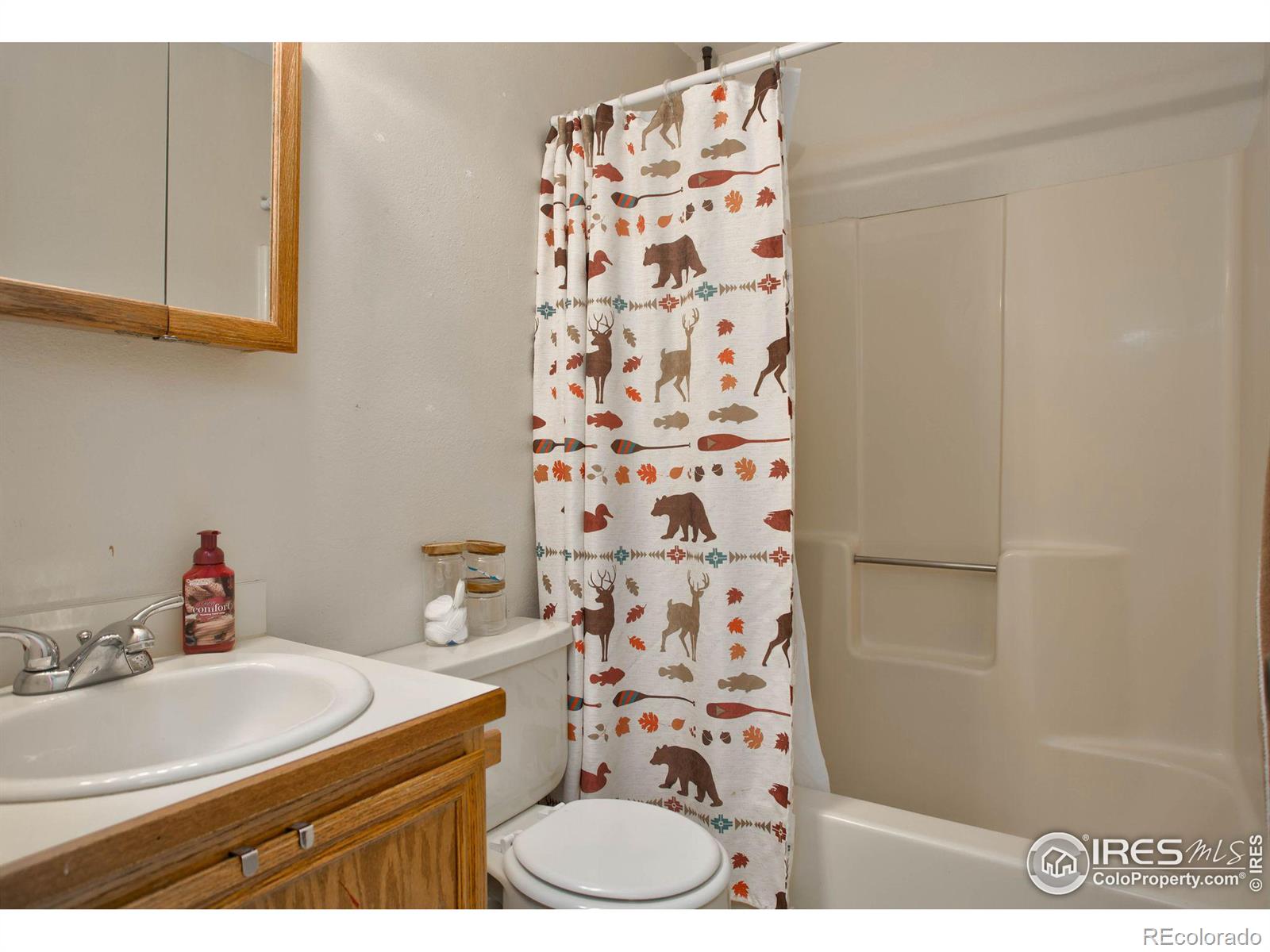 MLS Image #17 for 517  woods avenue,ault, Colorado