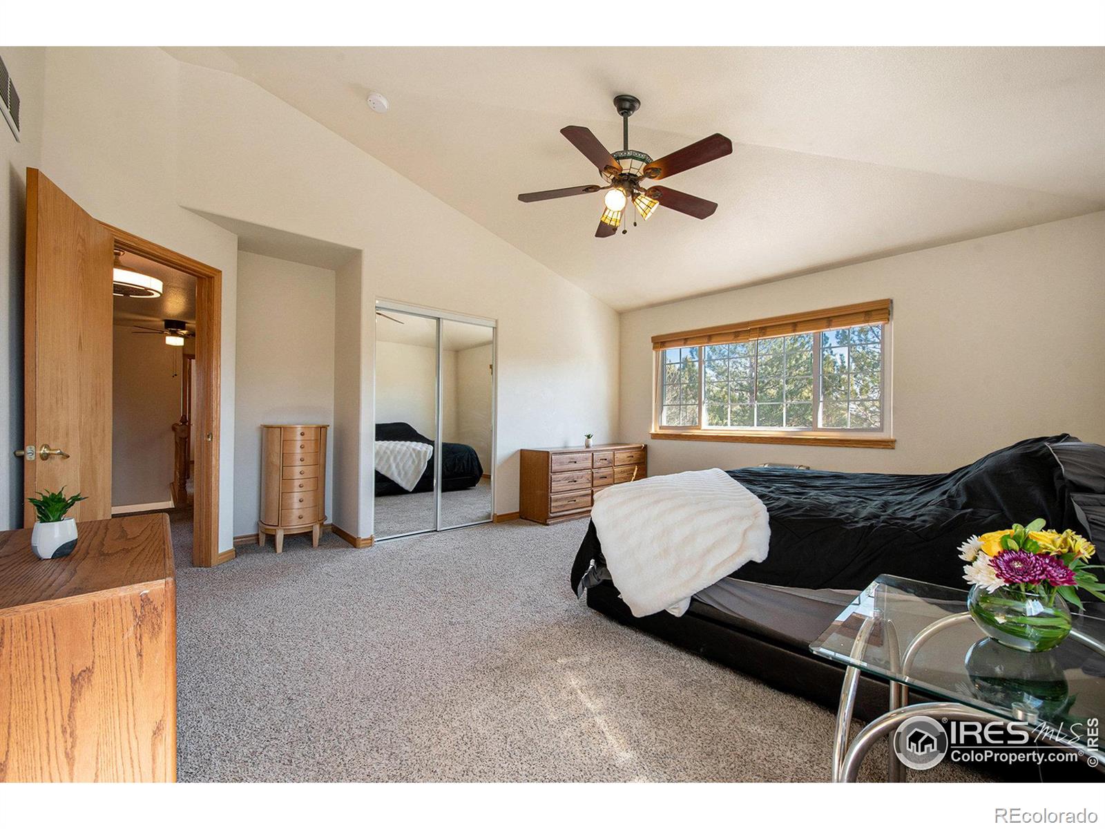 MLS Image #15 for 2038  falcon drive,longmont, Colorado