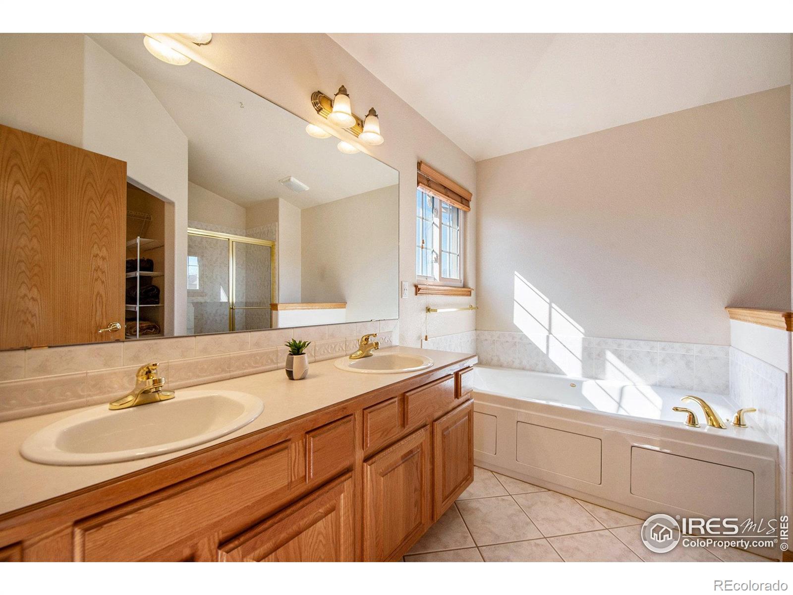 MLS Image #16 for 2038  falcon drive,longmont, Colorado