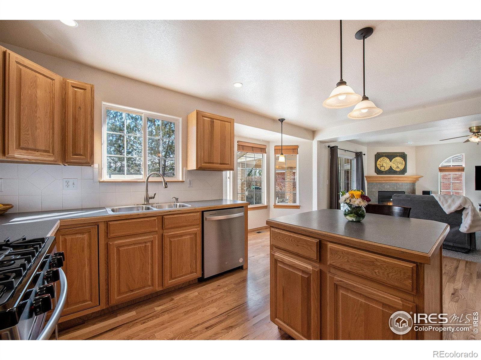 MLS Image #6 for 2038  falcon drive,longmont, Colorado