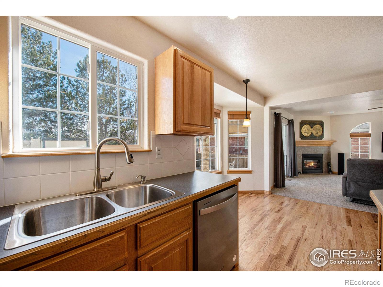 MLS Image #8 for 2038  falcon drive,longmont, Colorado