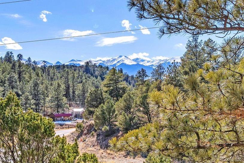 MLS Image #19 for 3986  county rd 28 ,cotopaxi, Colorado