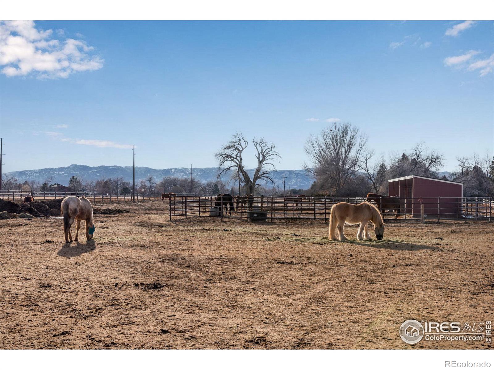 MLS Image #37 for 1717  lindenwood drive,fort collins, Colorado