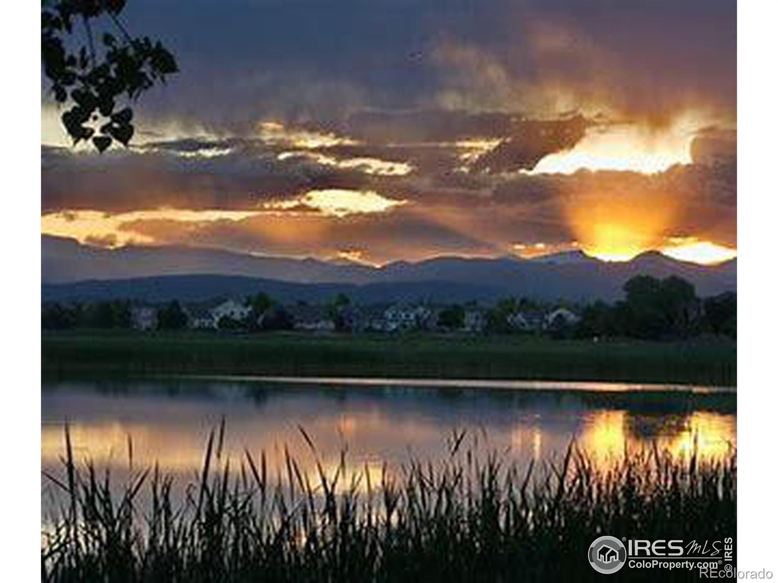 MLS Image #28 for 1610  moonlight drive,longmont, Colorado