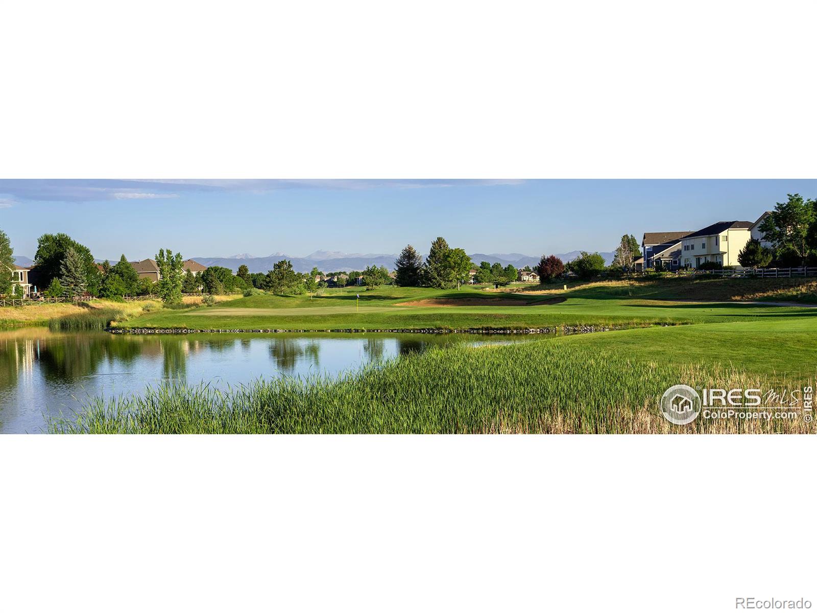 MLS Image #6 for 1610  moonlight drive,longmont, Colorado